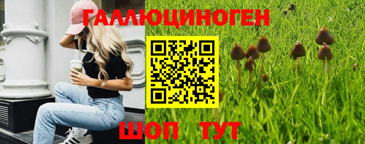 Миасс  Псилоцибиновые грибы MAGIC MUSHROOMS  Вход с VPN 